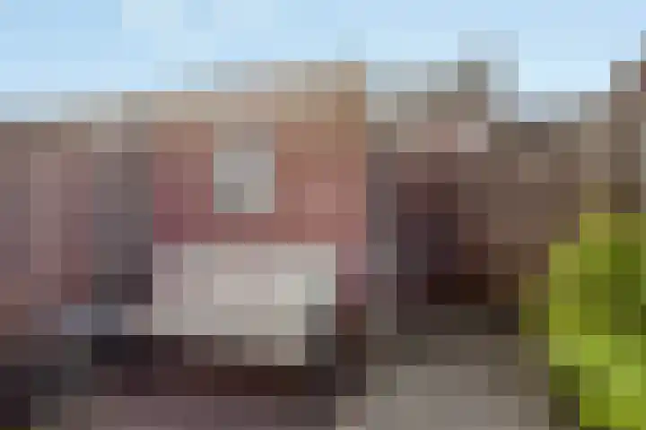 N.J. Hartestraat 11 Terneuzen thumbnail 26