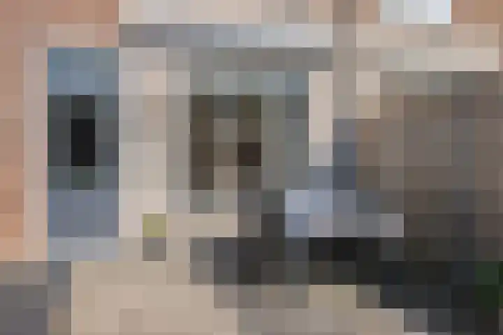 N.J. Hartestraat 11 Terneuzen thumbnail 28