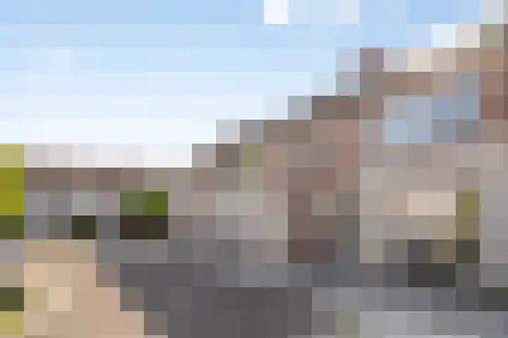 N.J. Hartestraat 11 Terneuzen thumbnail 30