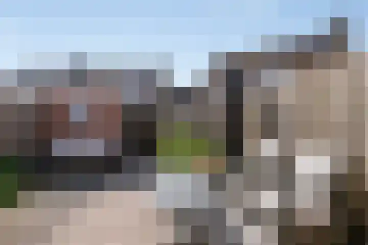 N.J. Hartestraat 11 Terneuzen thumbnail 4