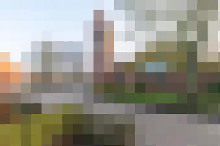 N. Kruizingastraat 6 Kloosterburen thumbnail 4