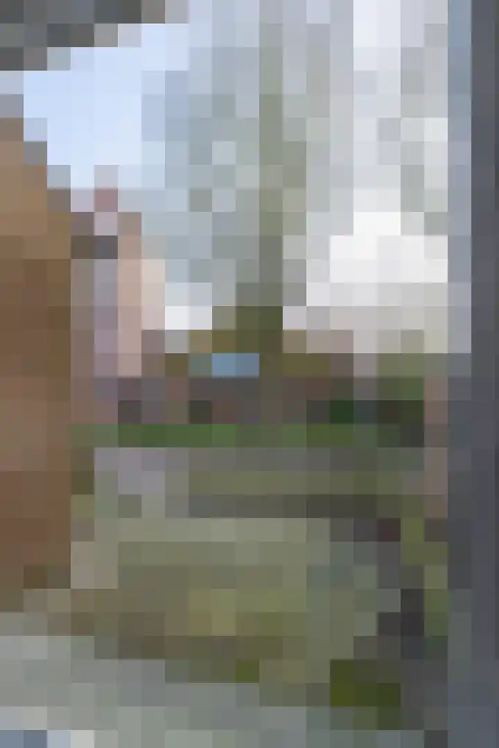 N. Kruizingastraat 6 Kloosterburen thumbnail 8