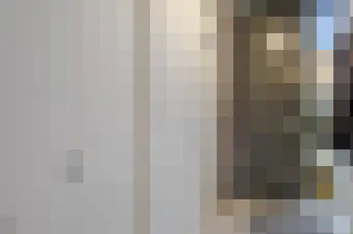 N. Lansdorpstraat 21 Amsterdam thumbnail 9