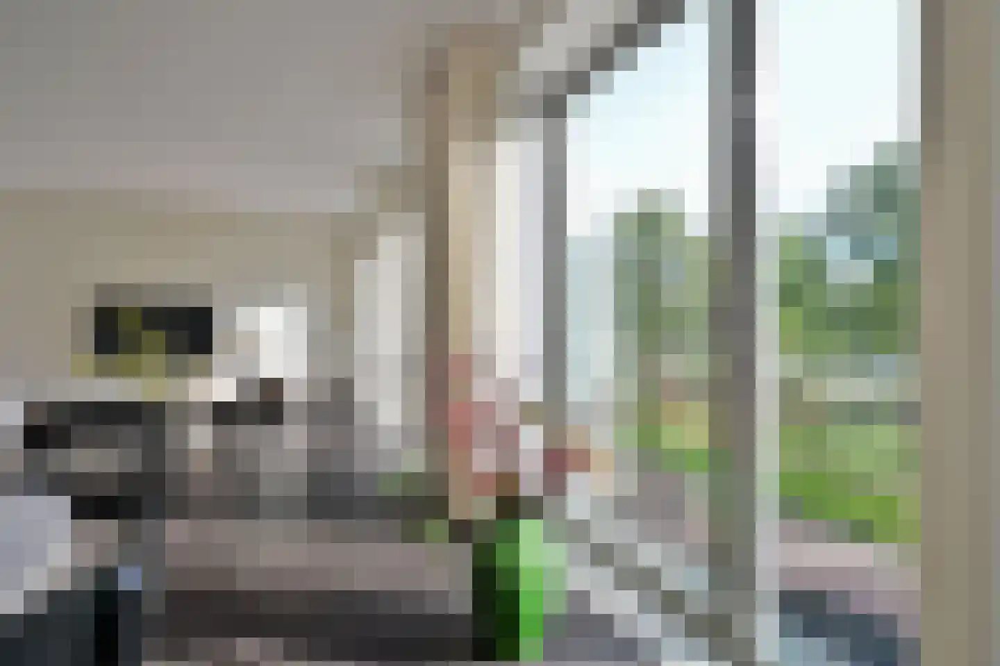 N. Lansdorpstraat 27 Amsterdam thumbnail 12