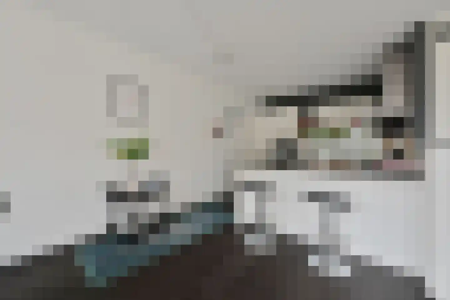 N. Lansdorpstraat 27 Amsterdam thumbnail 14