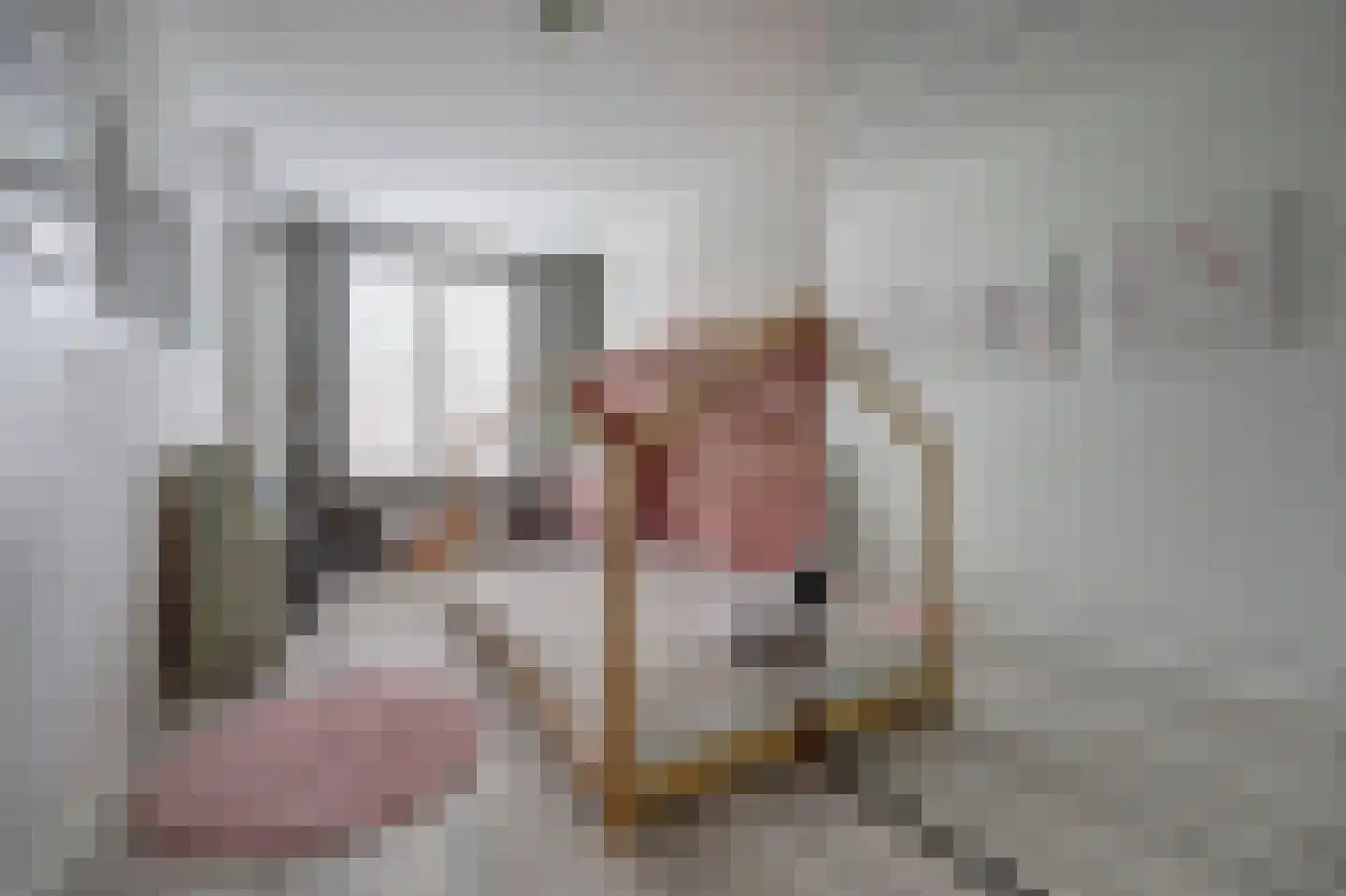 N. Stampioenstraat 14 Spijkenisse thumbnail 17