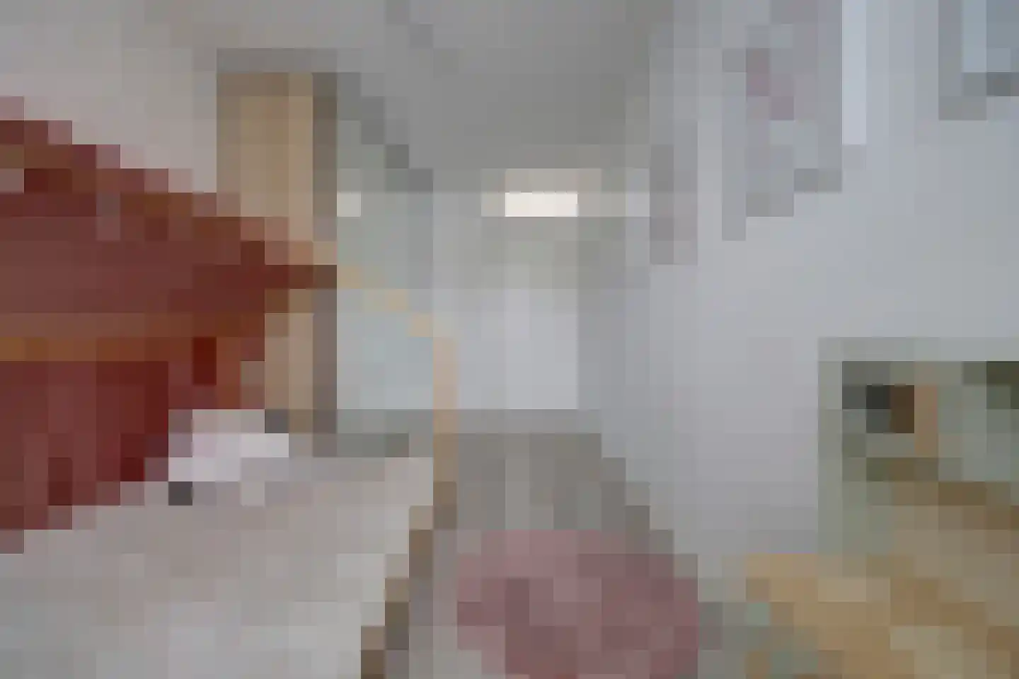 N. Stampioenstraat 14 Spijkenisse thumbnail 18