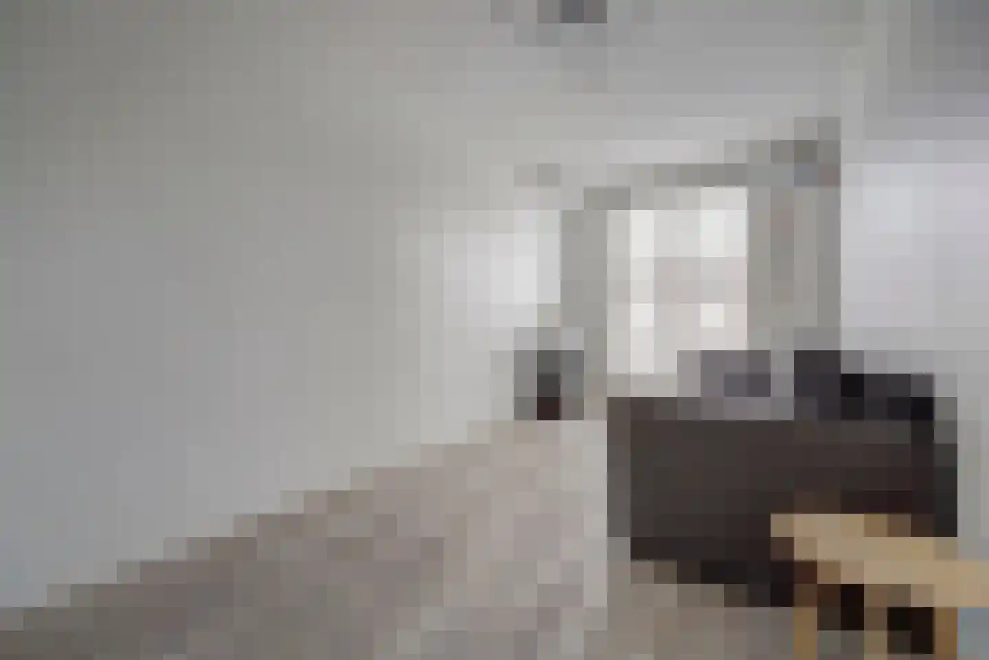 N. Stampioenstraat 14 Spijkenisse thumbnail 19