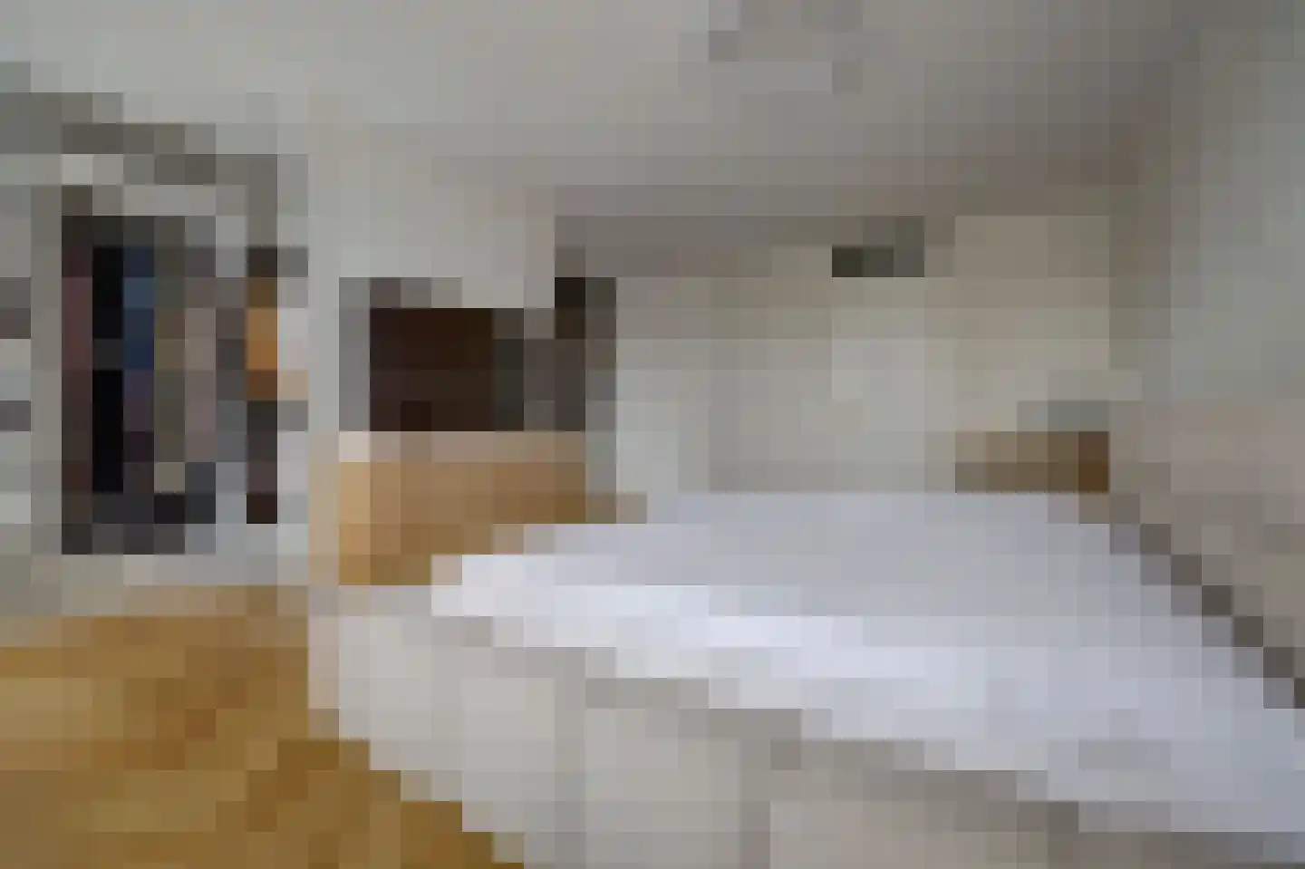 N. Stampioenstraat 14 Spijkenisse thumbnail 23