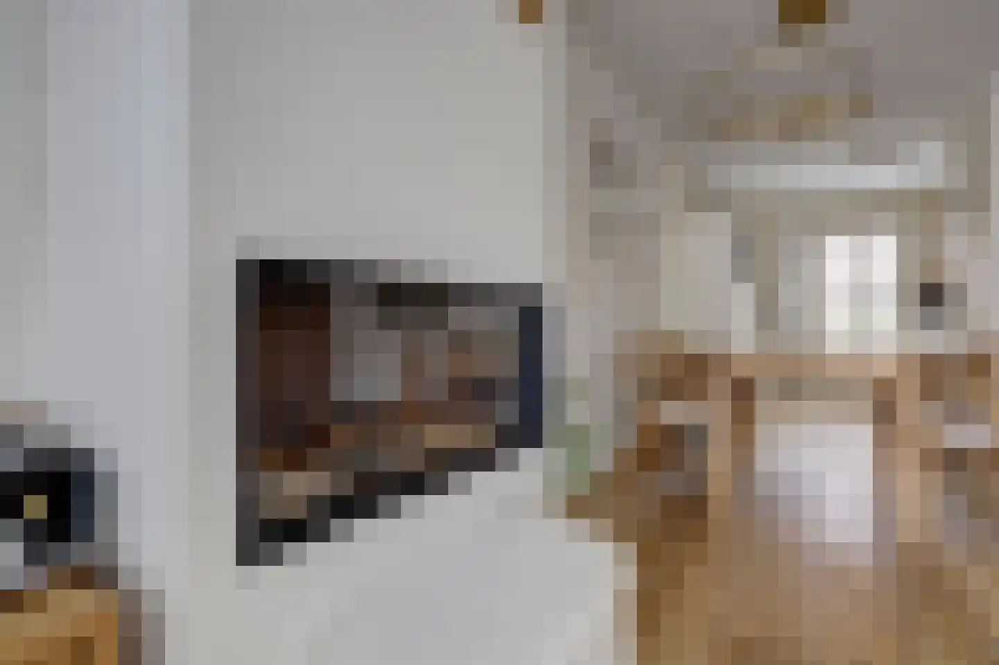 N. Stampioenstraat 14 Spijkenisse thumbnail 4