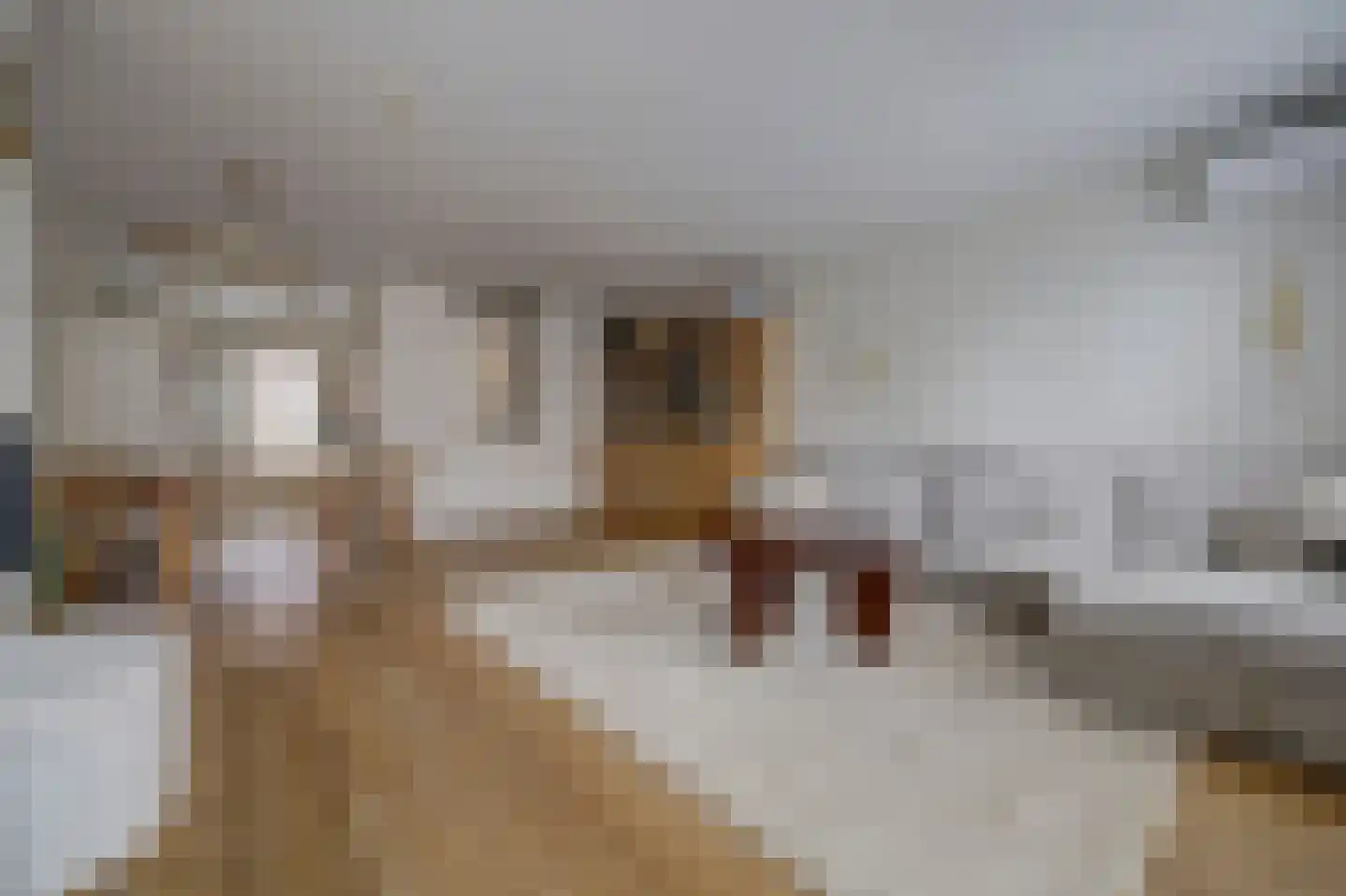 N. Stampioenstraat 14 Spijkenisse thumbnail 5