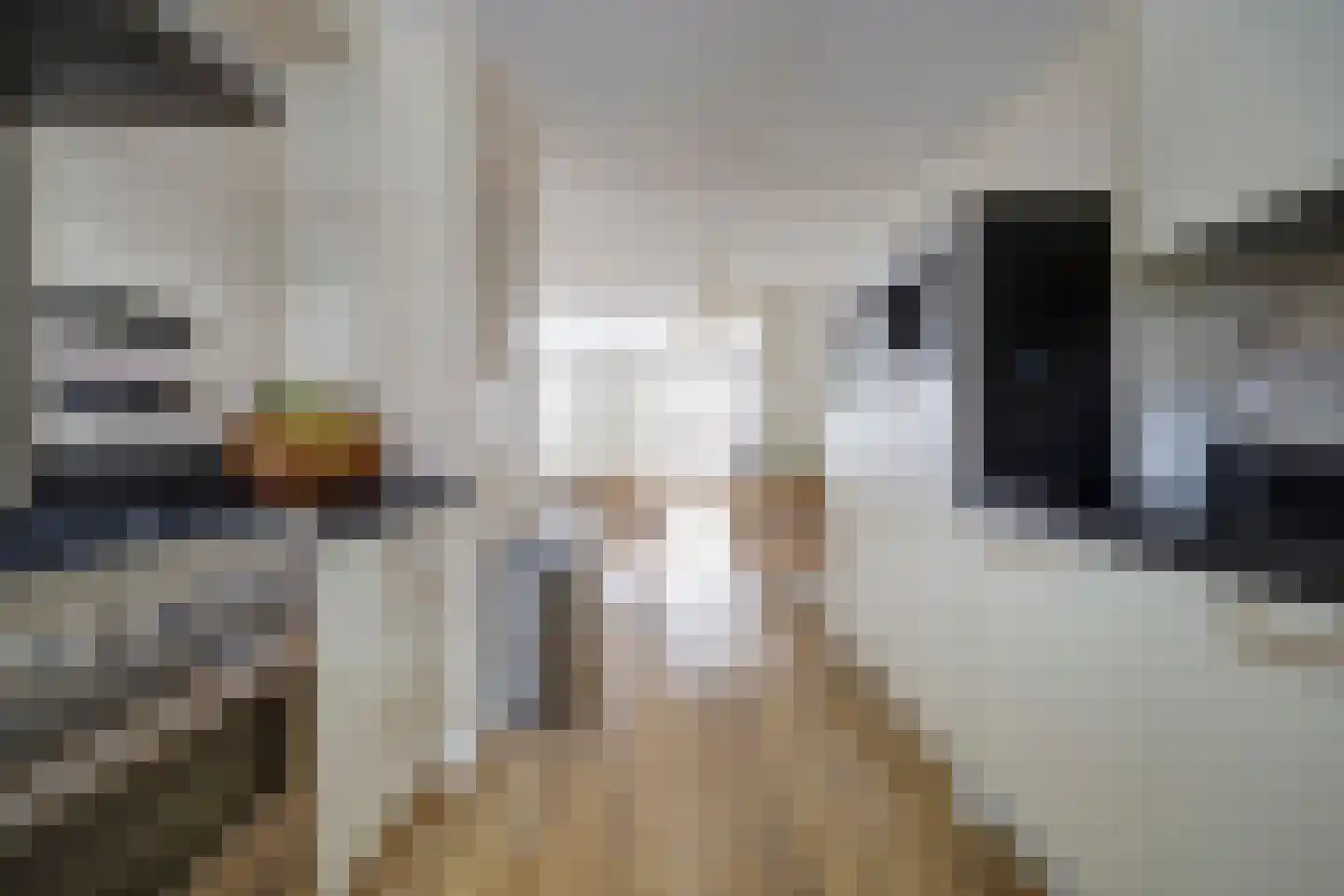 N. Stampioenstraat 14 Spijkenisse thumbnail 7