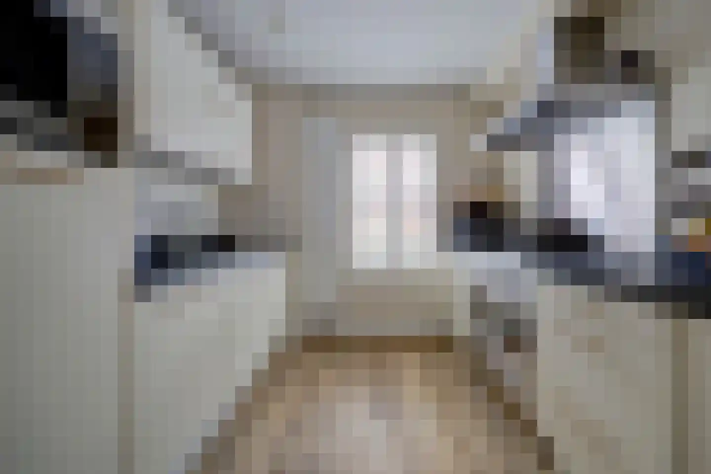 N. Stampioenstraat 14 Spijkenisse thumbnail 8