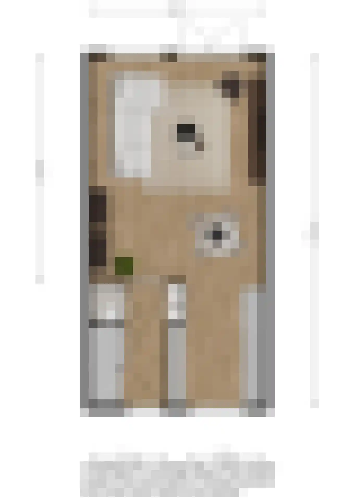 N. Stampioenstraat 4 Spijkenisse thumbnail 11