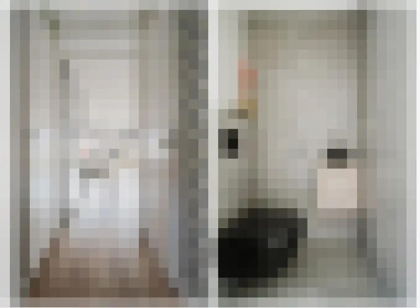 N. Stampioenstraat 4 Spijkenisse thumbnail 12