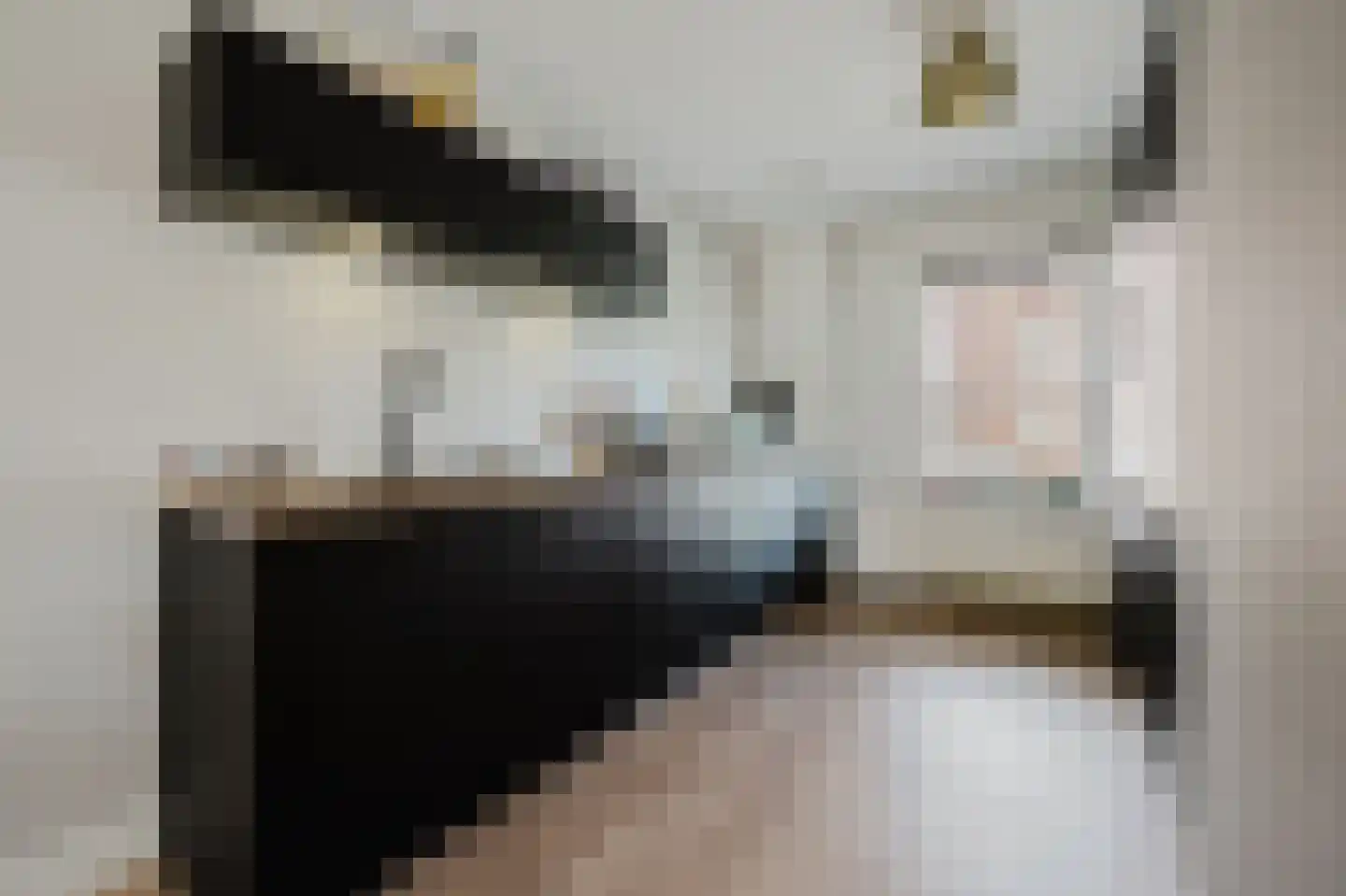 N. Stampioenstraat 4 Spijkenisse thumbnail 19