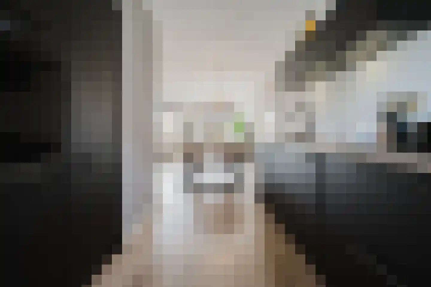 N. Stampioenstraat 4 Spijkenisse thumbnail 20