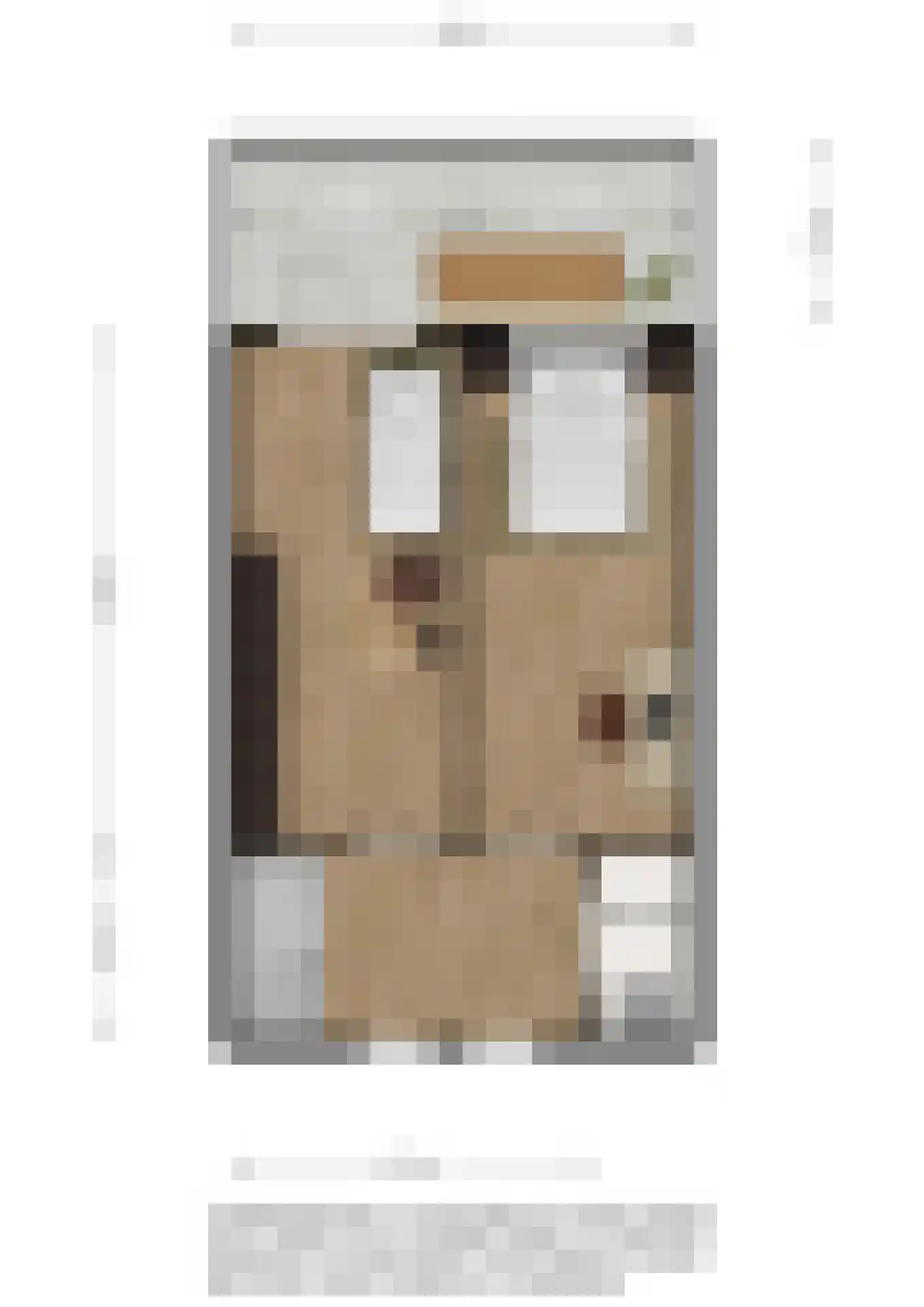 N. Stampioenstraat 4 Spijkenisse thumbnail 21