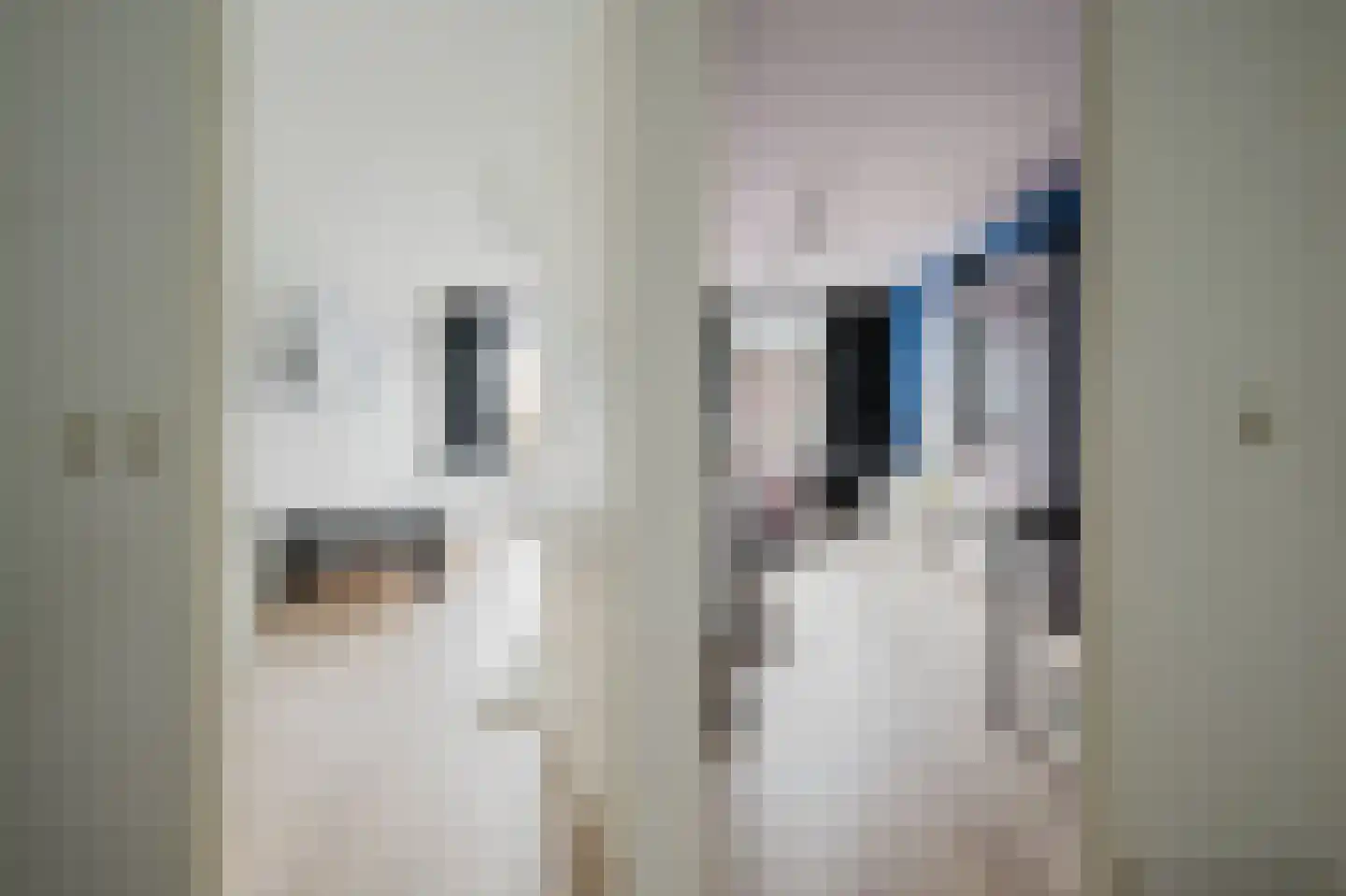 N. Stampioenstraat 4 Spijkenisse thumbnail 22