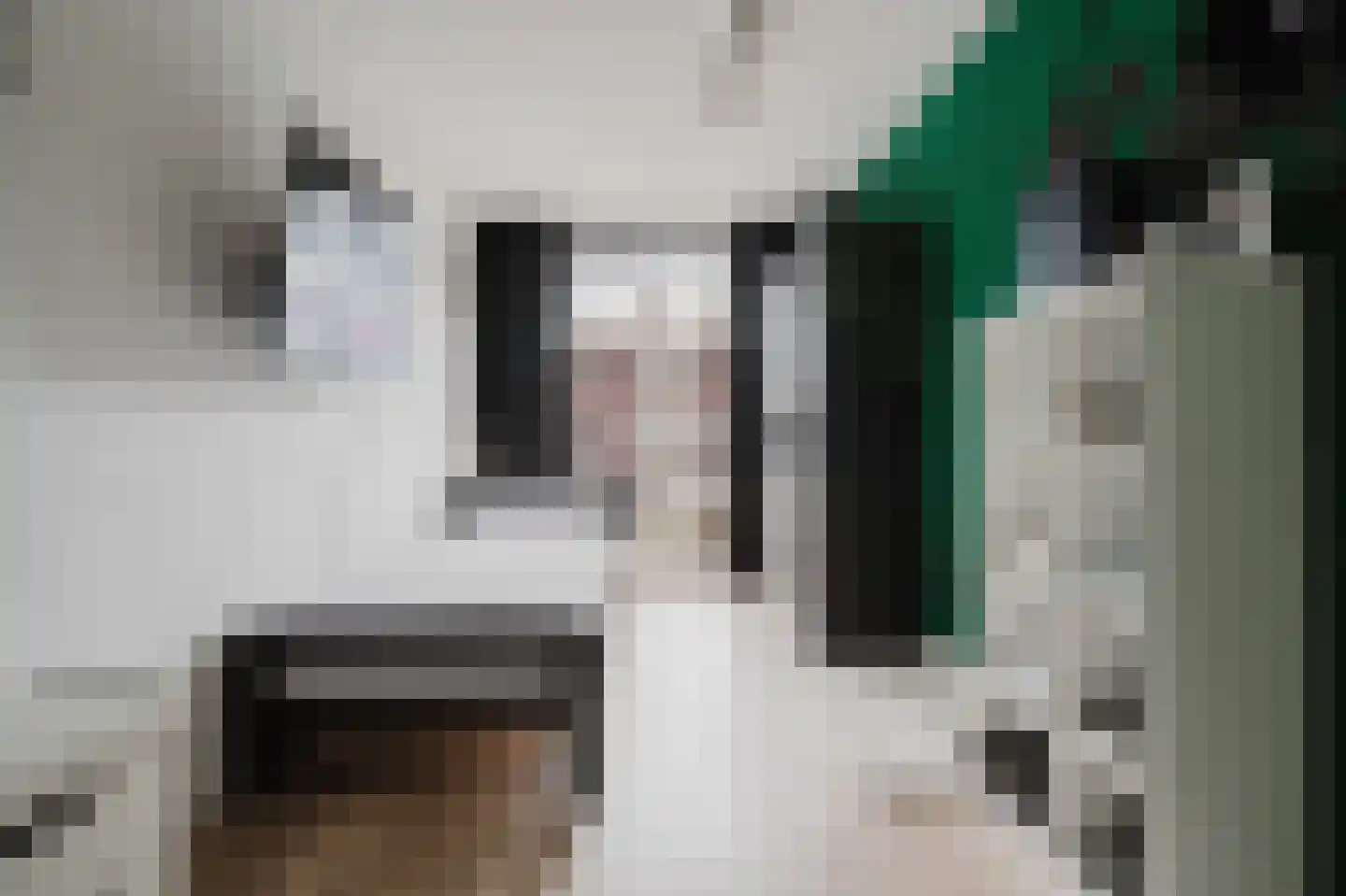 N. Stampioenstraat 4 Spijkenisse thumbnail 23