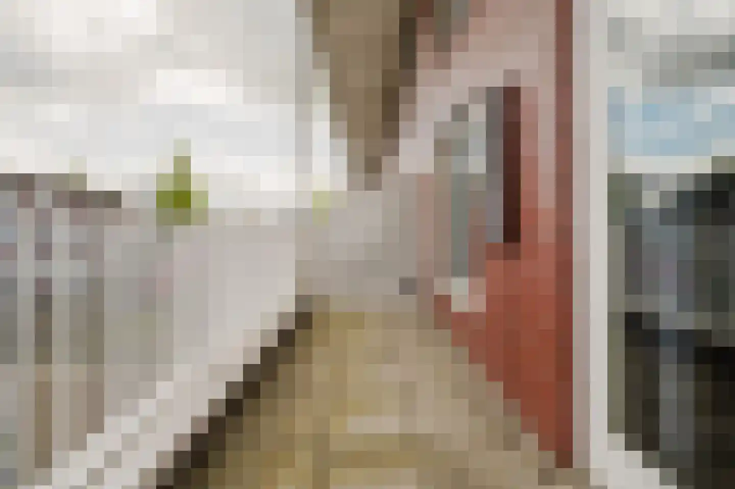 N. Stampioenstraat 4 Spijkenisse thumbnail 24