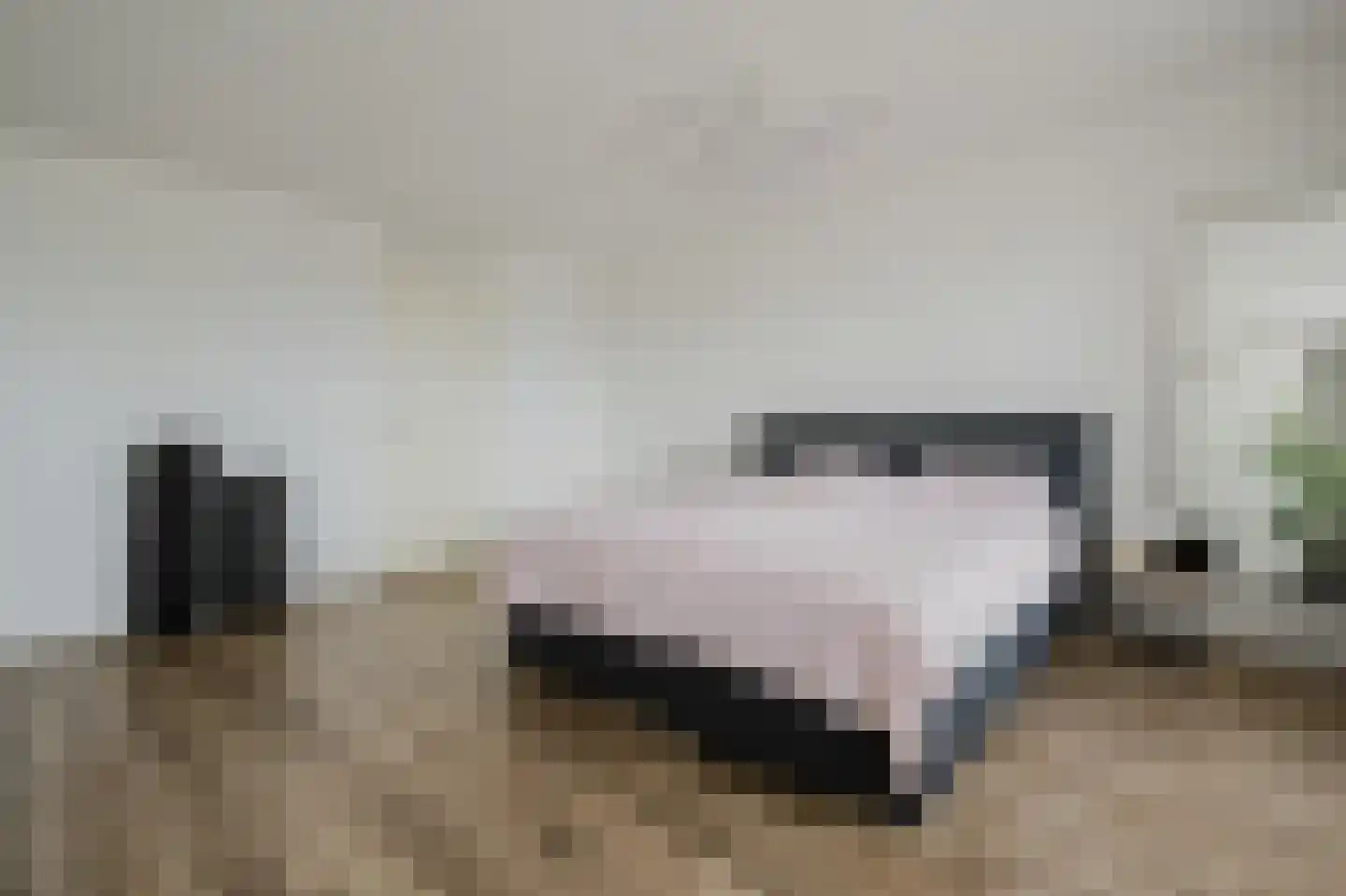 N. Stampioenstraat 4 Spijkenisse thumbnail 31