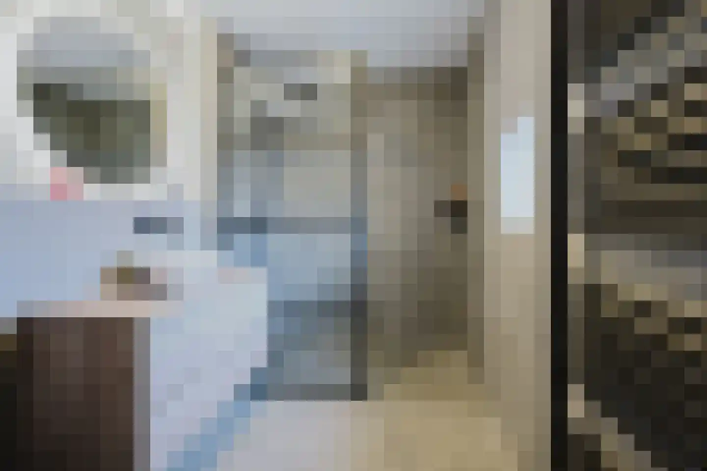 N. Stampioenstraat 4 Spijkenisse thumbnail 4
