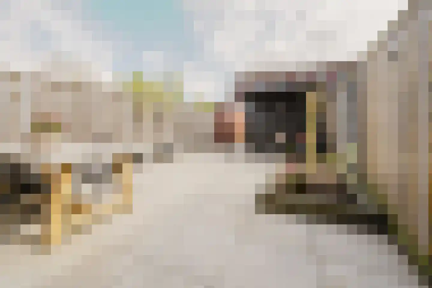 N. Stampioenstraat 4 Spijkenisse thumbnail 5