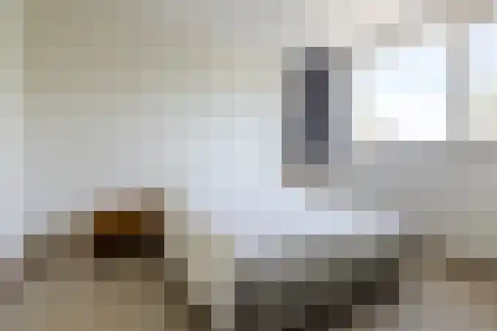 N.T. Hopmanstraat 1 Schagerbrug thumbnail 31