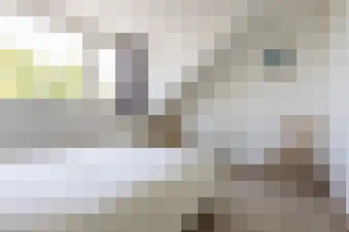 N.T. Hopmanstraat 1 Schagerbrug thumbnail 32