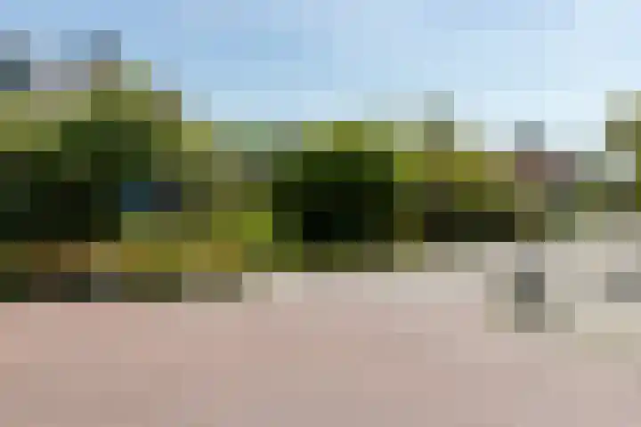 N.T. Hopmanstraat 1 Schagerbrug thumbnail 58