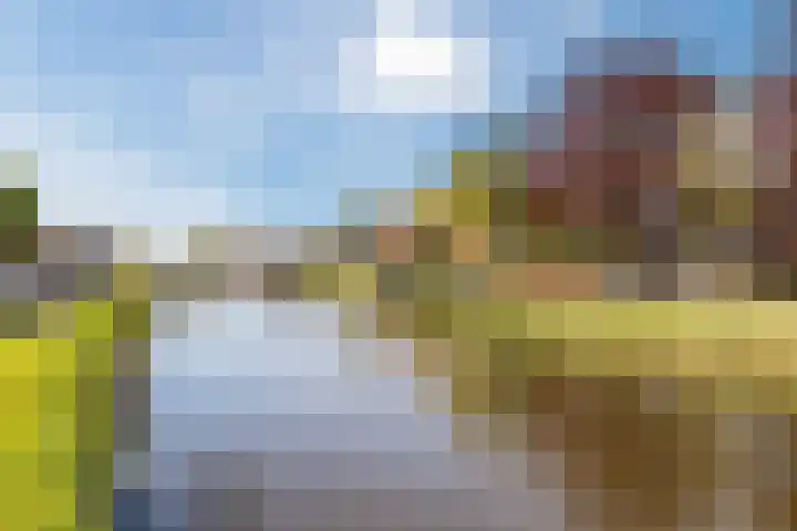 N.T. Hopmanstraat 1 Schagerbrug thumbnail 59