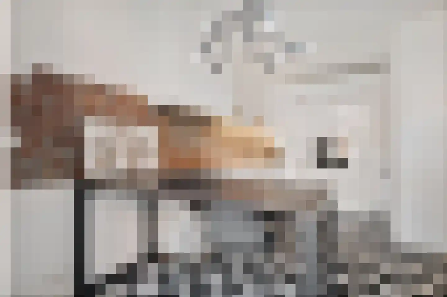 Naadzak 12 Zutphen thumbnail 13
