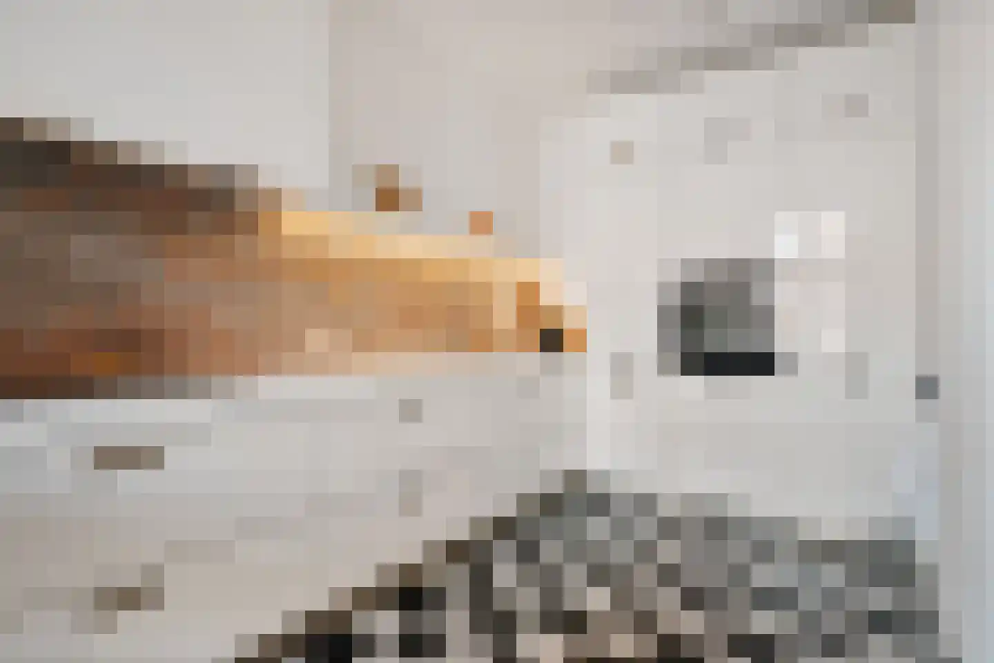 Naadzak 12 Zutphen thumbnail 14