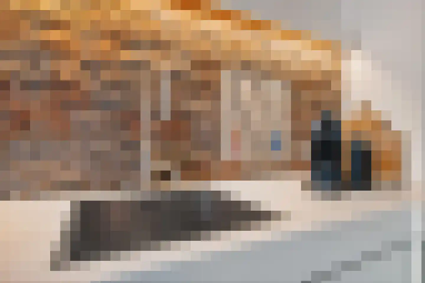 Naadzak 12 Zutphen thumbnail 15