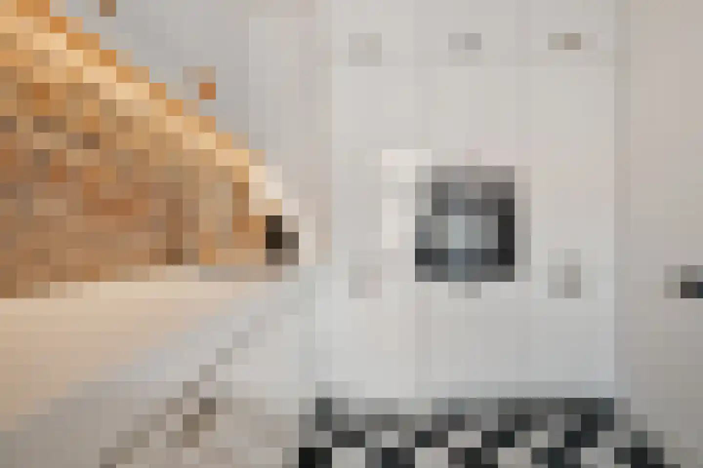 Naadzak 12 Zutphen thumbnail 18