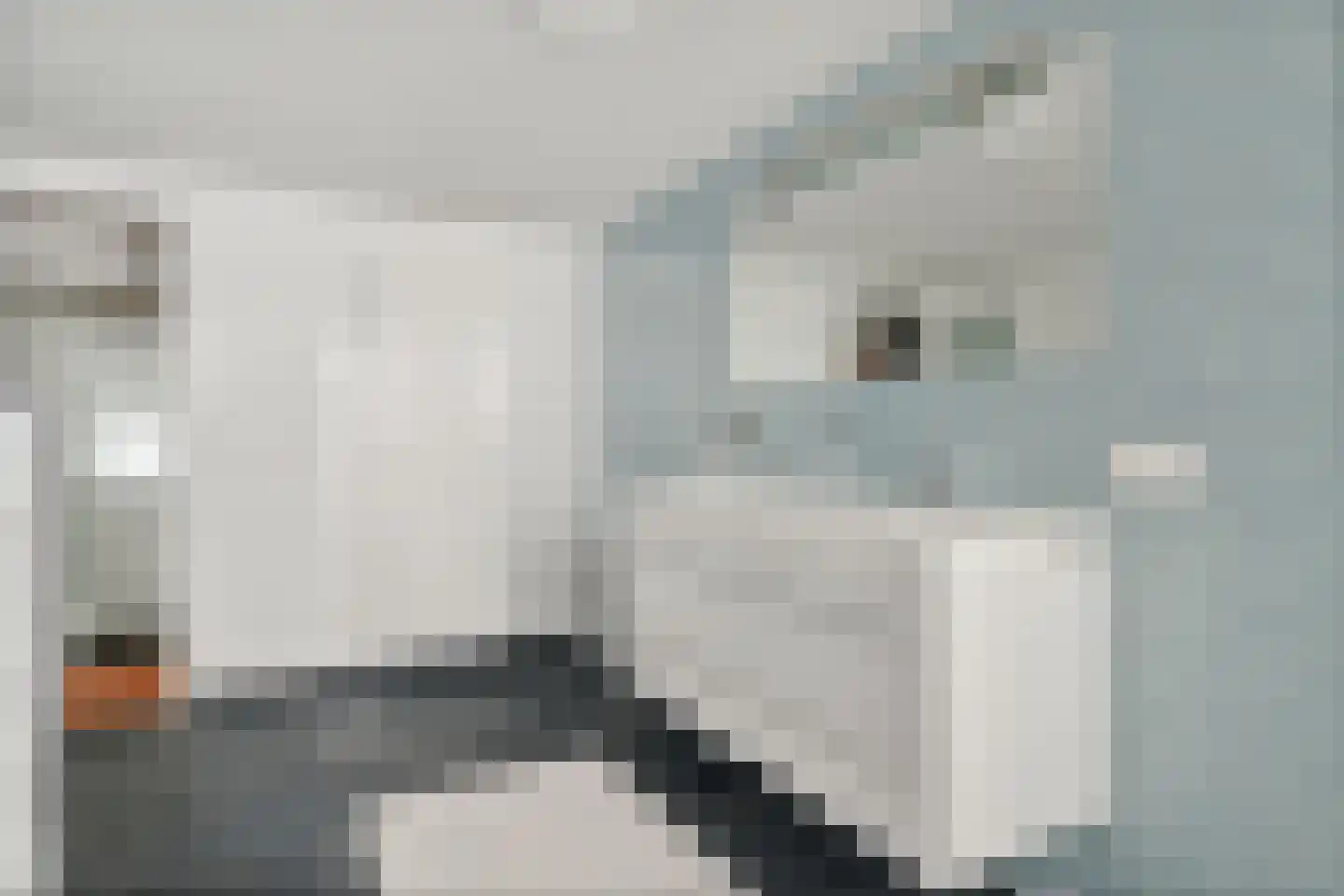 Naadzak 12 Zutphen thumbnail 30