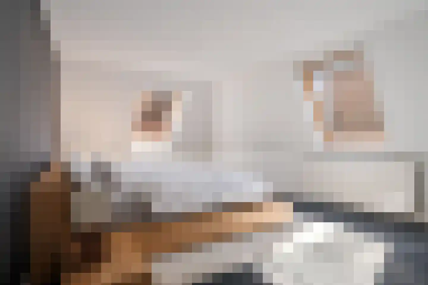 Naadzak 12 Zutphen thumbnail 33