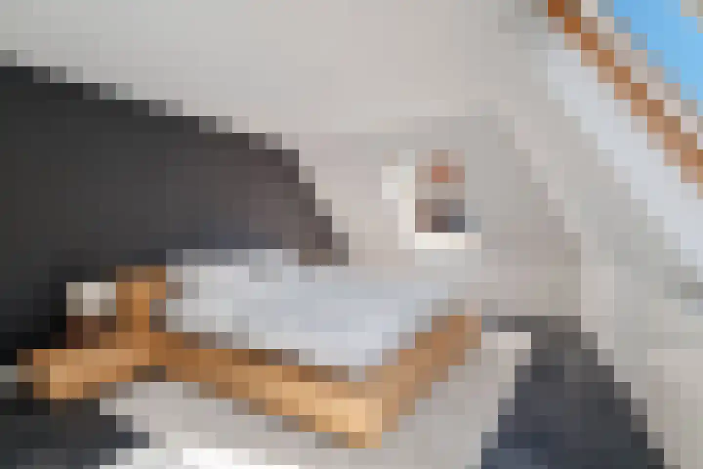 Naadzak 12 Zutphen thumbnail 34