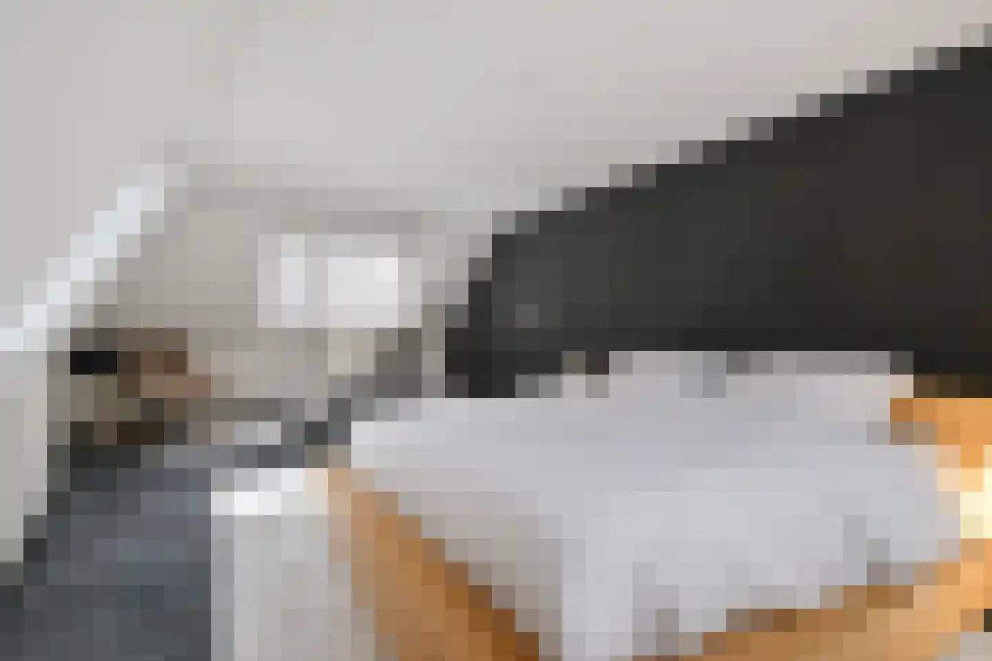 Naadzak 12 Zutphen thumbnail 35
