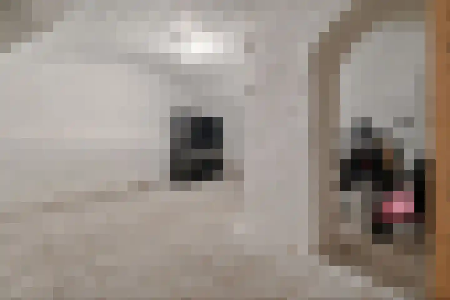 Naadzak 12 Zutphen thumbnail 39