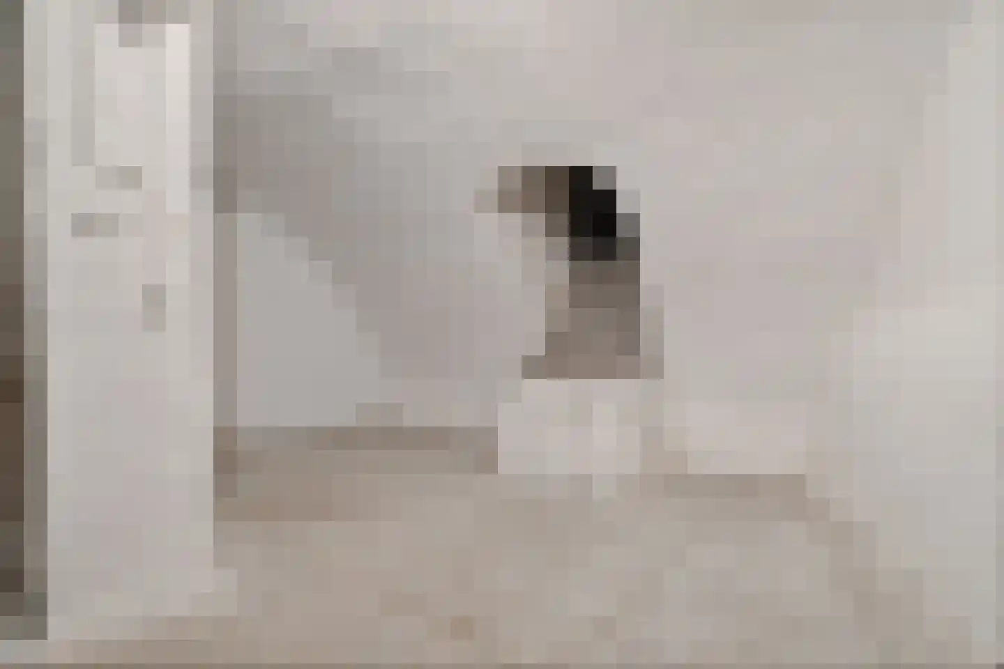 Naadzak 12 Zutphen thumbnail 40
