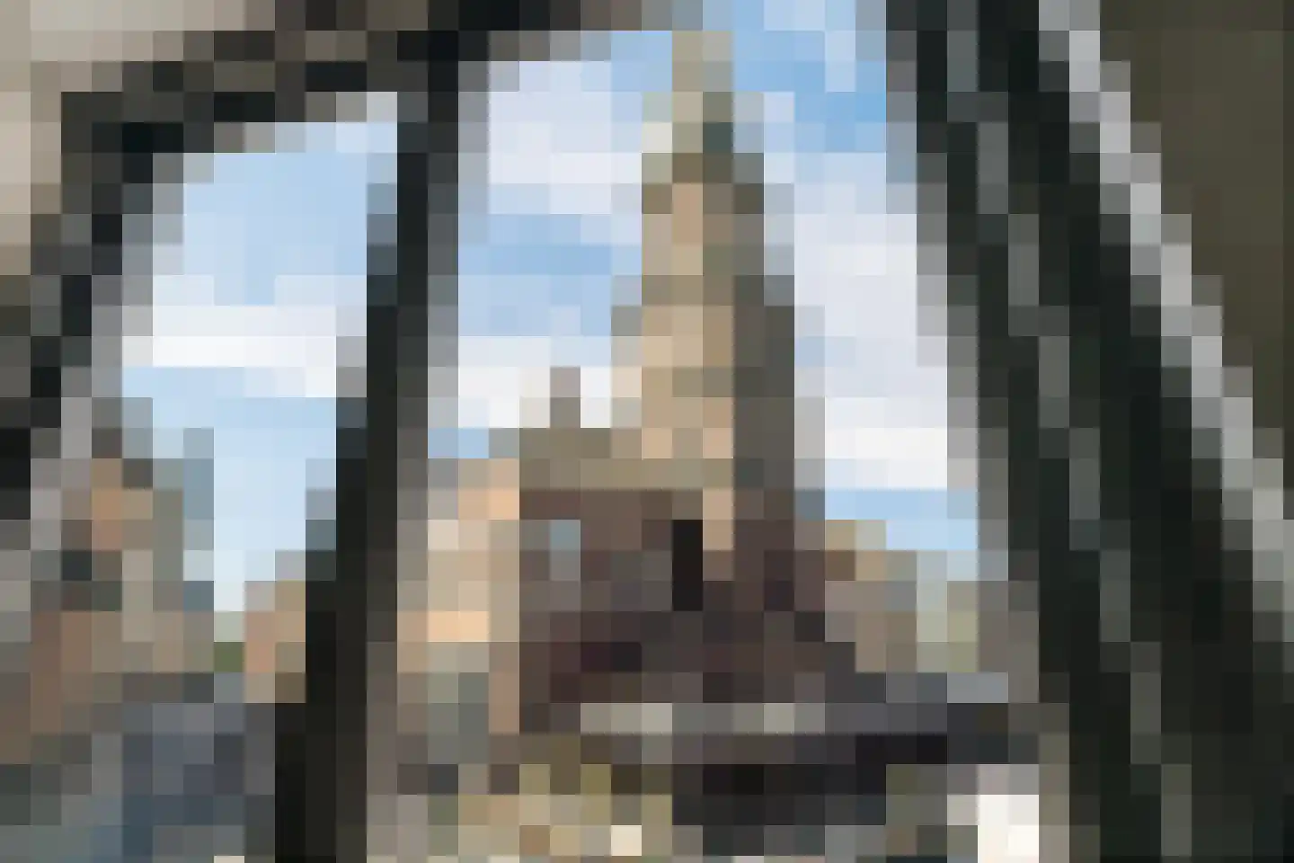 Naadzak 12 Zutphen thumbnail 8