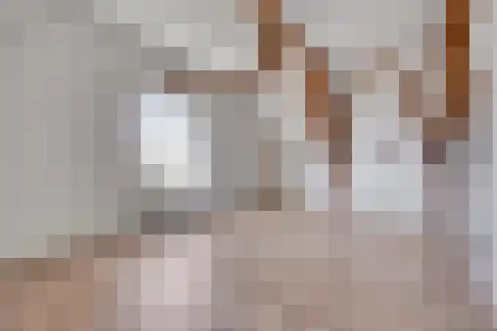 Naadzak 22 Zutphen thumbnail 11