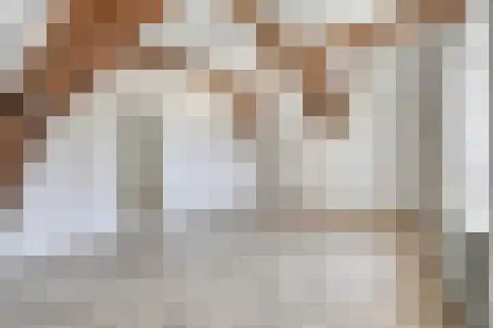 Naadzak 22 Zutphen thumbnail 12