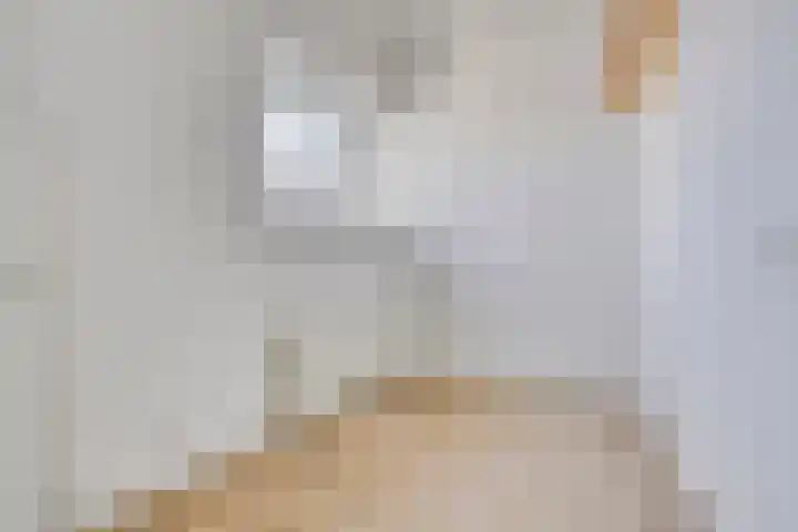 Naadzak 22 Zutphen thumbnail 15