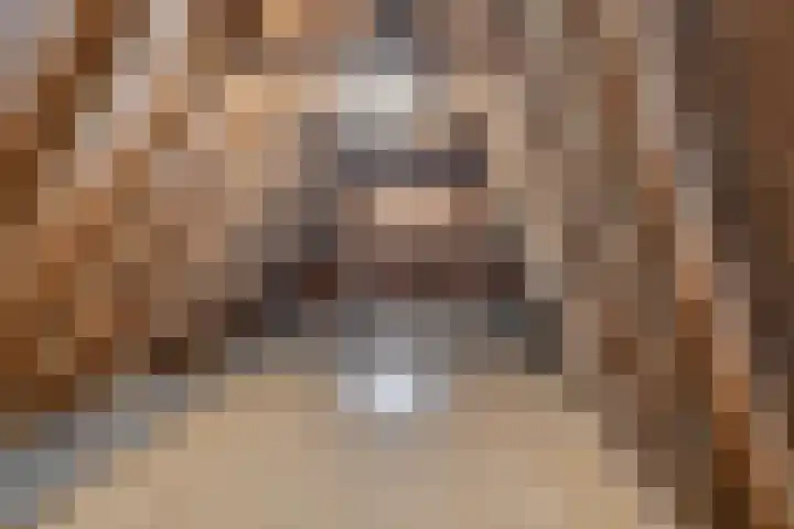 Naadzak 22 Zutphen thumbnail 16