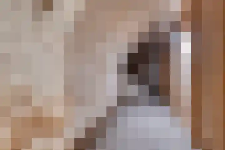 Naadzak 22 Zutphen thumbnail 18