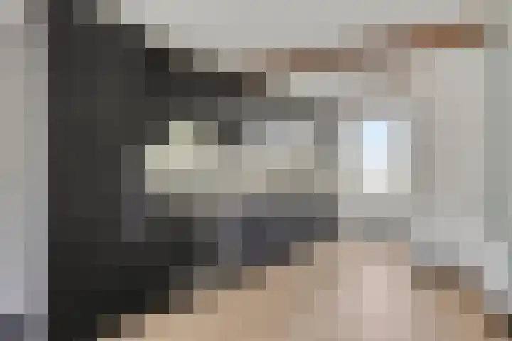 Naadzak 22 Zutphen thumbnail 7