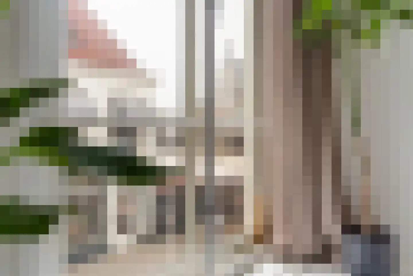 Naaierstraat 26 g Gouda thumbnail 22